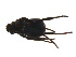  ( - BIOUG00887-G12)  @12 [ ] Copyright  G. Blagoev 2011 Unspecified