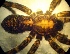  ( - CCDB-10206-D05)  @12 [ ] Copyright  A. Nadolny 2011 Unspecified