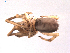  ( - BIOUG00884-D09)  @12 [ ] Copyright  G. Blagoev 2010 Unspecified