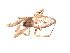  (Uloborus plumipes - BIOUG00885-C01)  @12 [ ] Copyright  G. Blagoev 2010 Unspecified