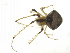  ( - BIOUG75003-G11)  @11 [ ] CreativeCommons - Attribution Non-Commercial Share-Alike (2022) Centre for Biodiversity Genomics Centre for Biodiversity Genomics