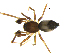  ( - BIOUG90618-C03)  @11 [ ] CreativeCommons - Attribution Non-Commercial Share-Alike (2022) Centre for Biodiversity Genomics Centre for Biodiversity Genomics