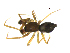  ( - BIOUG90618-C04)  @11 [ ] CreativeCommons - Attribution Non-Commercial Share-Alike (2022) Centre for Biodiversity Genomics Centre for Biodiversity Genomics
