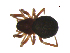  ( - BIOUG90619-A09)  @11 [ ] CreativeCommons - Attribution Non-Commercial Share-Alike (2022) Centre for Biodiversity Genomics Centre for Biodiversity Genomics