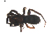  ( - BIOUG01888-A06)  @12 [ ] Copyright  G. Blagoev 2011 Unspecified