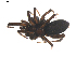  ( - BIOUG01888-A10)  @13 [ ] Copyright  G. Blagoev 2011 Unspecified