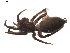  ( - BIOUG01888-D04)  @13 [ ] Copyright  G. Blagoev 2011 Unspecified