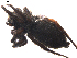  ( - BIOUG01888-D07)  @12 [ ] Copyright  G. Blagoev 2011 Unspecified