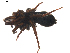  ( - BIOUG01889-E10)  @13 [ ] Copyright  G. Blagoev 2011 Unspecified