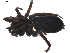  ( - BIOUG01889-E11)  @13 [ ] Copyright  G. Blagoev 2011 Unspecified