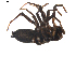  ( - BIOUG01889-E12)  @13 [ ] Copyright  G. Blagoev 2011 Unspecified