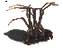  ( - BIOUG01889-F01)  @13 [ ] Copyright  G. Blagoev 2011 Unspecified
