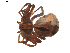  ( - BIOUG01890-B06)  @12 [ ] Copyright  G. Blagoev 2011 Unspecified