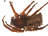  ( - BIOUG01890-D04)  @12 [ ] Copyright  G. Blagoev 2011 Unspecified