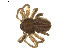 ( - BIOUG01890-E09)  @14 [ ] Copyright  G. Blagoev 2011 Unspecified