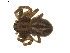  ( - BIOUG01890-E10)  @13 [ ] Copyright  G. Blagoev 2011 Unspecified