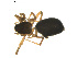  ( - BIOUG01890-F04)  @12 [ ] Copyright  G. Blagoev 2011 Unspecified