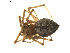  ( - BIOUG01890-G06)  @12 [ ] Copyright  G. Blagoev 2011 Unspecified