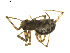  ( - BIOUG01890-G07)  @12 [ ] Copyright  G. Blagoev 2011 Unspecified