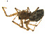  ( - BIOUG01890-G08)  @12 [ ] Copyright  G. Blagoev 2011 Unspecified