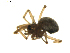  ( - BIOUG01890-G09)  @12 [ ] Copyright  G. Blagoev 2011 Unspecified