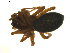  ( - BIOUG01891-A06)  @12 [ ] Copyright  G. Blagoev 2011 Unspecified