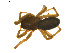  ( - BIOUG01891-A07)  @12 [ ] Copyright  G. Blagoev 2011 Unspecified