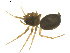  ( - BIOUG01891-A12)  @12 [ ] Copyright  G. Blagoev 2011 Unspecified