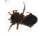  ( - BIOUG01891-E03)  @12 [ ] Copyright  G. Blagoev 2011 Unspecified