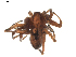  ( - BIOUG01891-H04)  @12 [ ] Copyright  G. Blagoev 2011 Unspecified