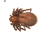  ( - BIOUG01891-H05)  @13 [ ] Copyright  G. Blagoev 2011 Unspecified
