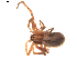  ( - BIOUG01891-H06)  @12 [ ] Copyright  G. Blagoev 2011 Unspecified