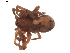  ( - BIOUG01891-H09)  @12 [ ] Copyright  G. Blagoev 2011 Unspecified