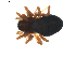  ( - BIOUG01893-E03)  @13 [ ] Copyright  G. Blagoev 2011 Unspecified