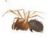  ( - BIOUG01893-G08)  @12 [ ] Copyright  G. Blagoev 2011 Unspecified