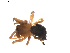  ( - BIOUG01893-G09)  @12 [ ] Copyright  G. Blagoev 2011 Unspecified