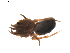  ( - BIOUG01893-G10)  @12 [ ] Copyright  G. Blagoev 2011 Unspecified