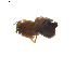  ( - BIOUG01893-G11)  @12 [ ] Copyright  G. Blagoev 2011 Unspecified