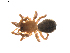  ( - BIOUG01893-G12)  @12 [ ] Copyright  G. Blagoev 2011 Unspecified