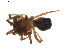  ( - BIOUG01893-H03)  @12 [ ] Copyright  G. Blagoev 2011 Unspecified