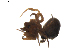  ( - BIOUG01893-H04)  @12 [ ] Copyright  G. Blagoev 2011 Unspecified