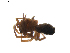  ( - BIOUG01893-H05)  @12 [ ] Copyright  G. Blagoev 2011 Unspecified