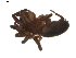  ( - BIOUG01894-B04)  @12 [ ] Copyright  G. Blagoev 2011 Unspecified