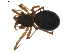  ( - BIOUG01894-B11)  @13 [ ] Copyright  G. Blagoev 2011 Unspecified
