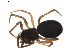  ( - BIOUG01894-C01)  @13 [ ] Copyright  G. Blagoev 2011 Unspecified