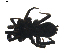  ( - BIOUG01894-C12)  @12 [ ] Copyright  G. Blagoev 2011 Unspecified