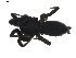  ( - BIOUG01894-D01)  @12 [ ] Copyright  G. Blagoev 2011 Unspecified