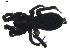  ( - BIOUG01894-D02)  @12 [ ] Copyright  G. Blagoev 2011 Unspecified