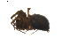 ( - BIOUG01894-E03)  @12 [ ] Copyright  G. Blagoev 2011 Unspecified
