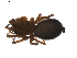  ( - BIOUG01894-G01)  @12 [ ] Copyright  G. Blagoev 2011 Unspecified